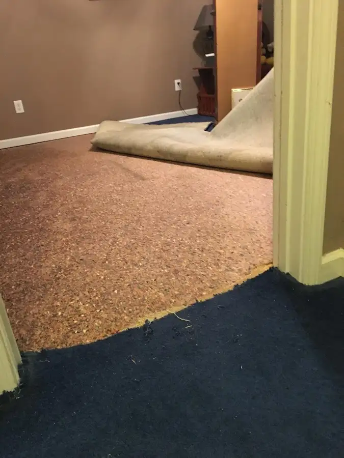 Carpet pad removal revealing water damage during Drying & Dehumidification in Clover Creek