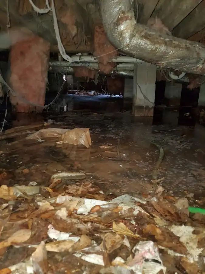 Crawl space flood assessment for Leak Detection & Repair in Clover Creek
